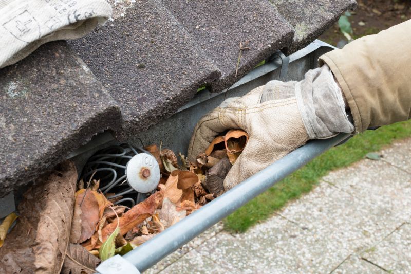 Clogged Gutter Removal