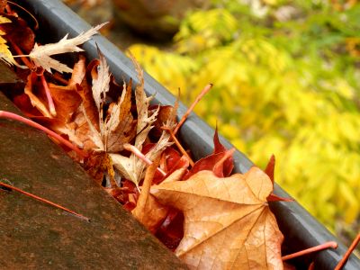 Choosing the Right Time for Gutter Service